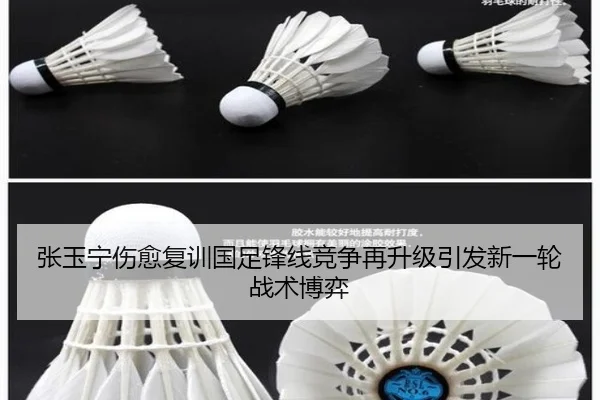 张玉宁伤愈复训国足锋线竞争再升级引发新一轮战术博弈
