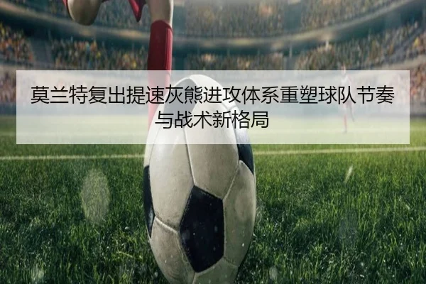 莫兰特复出提速灰熊进攻体系重塑球队节奏与战术新格局
